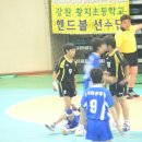 삼척초등학교 이미지