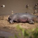 마라천국 이미지