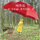 헌마공신 김만일기념관_영상실_#2 | [제주도 여행] 비 오는 날 가 볼 만한 곳 절물자연휴양림 헌마공신 김만일 기념관 서귀다원