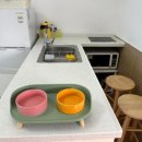 평생 사랑해 줄 개 애견펜션 이미지