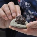 하늘별 영농조합법인 이미지