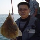 관광 꿈꾸는숲 펜션 이미지