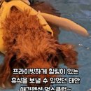 멍스클럽 이미지