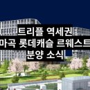 마곡롯데캐슬공인중개사사무소 이미지