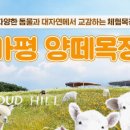 강일목장 티스토리