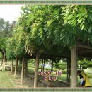 "사랑 슬기 건강"- 광주동초등학교 꿈나무들과 함께! 이미지