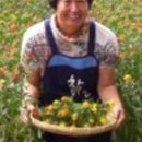 최경주홍화팜