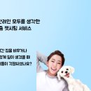 강아지를부탁해(돌봄) 이미지