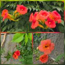 김관홍 | [영화] '바다호랑이' 세월호 잠수사 실화 이야기 / 롯데시네마 청량리 관람후기 / 굿즈 수령 하세요!