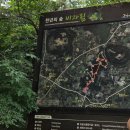 벼락PC | [2025 제주 #4] 제주 구좌의 보물같은 곳, 비자나무와 곶자왈의 속을 탐험할 수 있는 <비자림> 방문기!