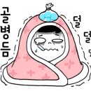 카멜라인