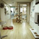 고양이 행복 쉼터 이미지