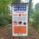 양지공원 농구장