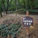 구름산산림욕장 이미지