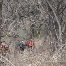 우면산6-11 이미지