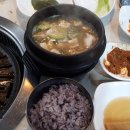 마천흑돼지 이미지