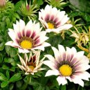 예당한의원 이미지