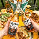 용산-447 | [용산구 맛집] 숄로 타코 용산구 맛집 숄로 타코, 정성을 담은 멕시코 음식