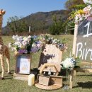 오륙도 가원 이미지