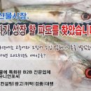 2024년 11월 냉동 아귀 수입량, 전년 동월 대비 16% 감소 이미지