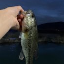 왕숙천 자전거도로3 이미지