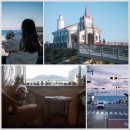 미키애견 | 부산 애견 동반 여행) 1박 2일 여행 1일차