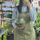 대한장식 | 부천원데이클래스 테라리움 만들기 공방 후기 : 식물가게 장식