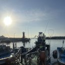 어부야 | 부산 [송정] 부산 배 낚시/ 부산 기장낚시“어부야놀자” 해동호 바다낚시 솔직후기