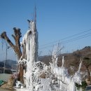 광바위주유소 이미지