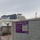 맘존여성병원 | 경주 산부인과 : 맘존여성병원 후기 | 임신 전 검사 (초음파, 피검사)