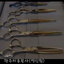 광주영신원 이미지