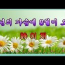 중년의 가슴에 8월이 오면~이채 이미지