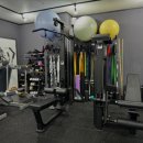 더짐스 | 금정역 헬스장 추천 더짐스 / 월간 보험소식지