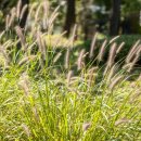 까투렴공원 이미지