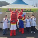 운장산 홍삼