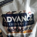 애니존 동물병원 이미지