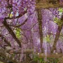 포충사 주차장 이미지