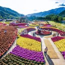 용대관광지 이미지