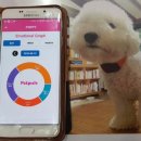 PETPLUS 네이버블로그