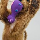 잘어울리개 이미지