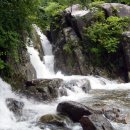 거창(광주) 이미지