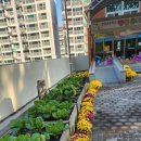 신덕초등학교병설 이미지