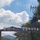 솔뫼식당 | 늦여름, 당일치기 물놀이 가능한 남양주 솔뫼가든 계곡식당