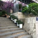 모스가든 이미지