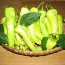 도현농장 이미지