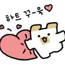 노리터체육