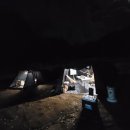 레아네팜 이미지