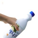 프로야채과일