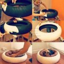 [빌더하우스] 애완동물을 위한 침대만들기. 이미지