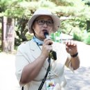 남도버스1 이미지